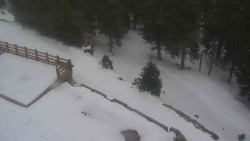 Přístup na běžeckou trať