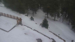 Přístup na běžeckou trať