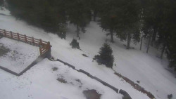 Přístup na běžeckou trať