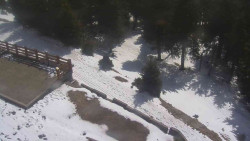 Přístup na běžeckou trať