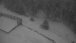 Přístup na běžeckou trať