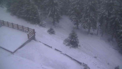 Přístup na běžeckou trať