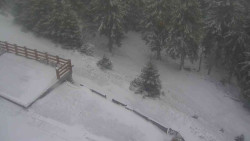 Přístup na běžeckou trať