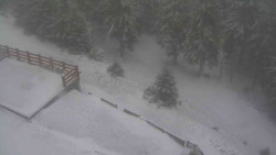 Přístup na běžeckou trať