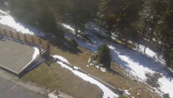 Přístup na běžeckou trať