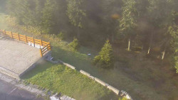 Přístup na běžeckou trať