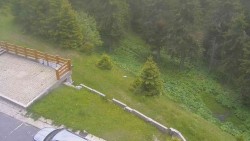 Zugang zur Laufbahn