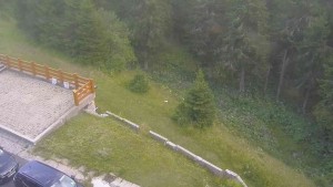 Sporthotel Kurzovní - Zugang zur Laufbahn - 31.7.2026 v 18:55 Sporthotel Kurzovní - Zugang zur Laufbahn - 31.7.2026 v 18:55