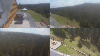 Snímek    13.5.2025 v 12:00