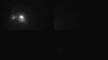 Snímek    16.10.2025 v 23:30