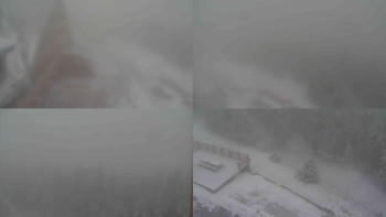 Snímek    20.11.2025 v 07:30