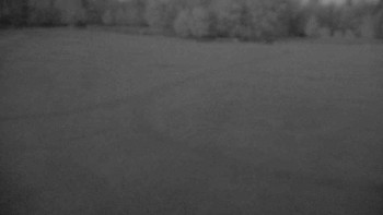 Snímek    13.5.2025 v 04:30