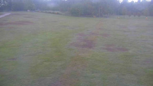 Ski klub RD Rýmařov - Areál ski klubu - 21.5.2025 v 05:00