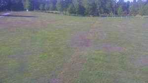 Ski klub RD Rýmařov - Areál ski klubu - 21.5.2025 v 08:00