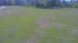 Ski klub RD Rýmařov - Areál ski klubu - 21.5.2025 v 11:00