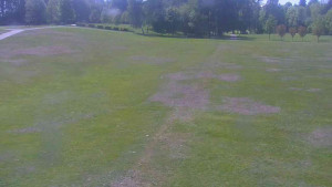 Ski klub RD Rýmařov - Areál ski klubu - 21.5.2025 v 12:00