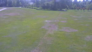 Ski klub RD Rýmařov - Areál ski klubu - 21.5.2025 v 13:00