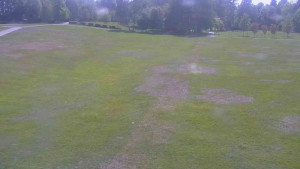 Ski klub RD Rýmařov - Areál ski klubu - 21.5.2025 v 14:00