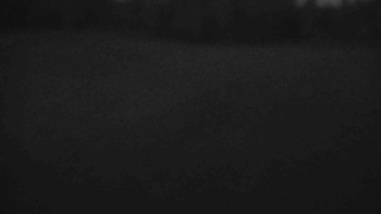 Snímek    6.7.2025 v 04:00