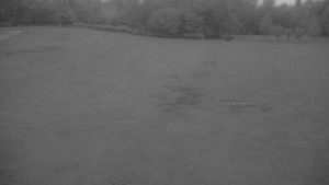 Ski klub RD Rýmařov - Areál ski klubu - 7.7.2025 v 04:30