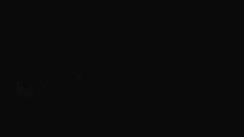 Snímek    15.9.2025 v 23:00