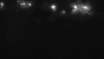 Snímek    26.10.2025 v 18:30