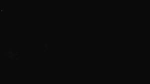 Ski klub RD Rýmařov - Areál ski klubu - 3.11.2025 v 05:30