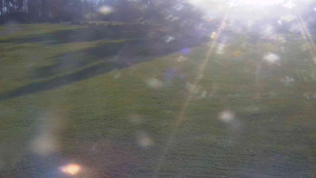 Snímek 6.11.2025 v 14:00