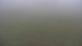 Snímek    14.11.2025 v 07:30