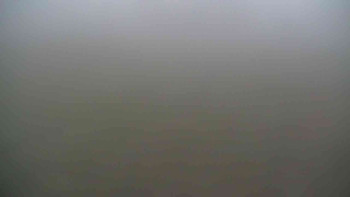 Snímek    14.11.2025 v 16:00