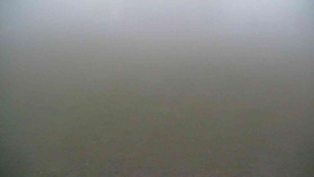 Snímek 17.11.2025 v 07:00