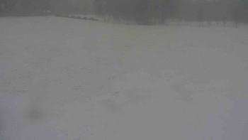 Snímek    24.11.2025 v 08:30