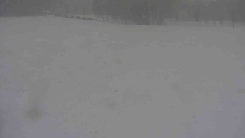 Snímek    24.11.2025 v 09:00