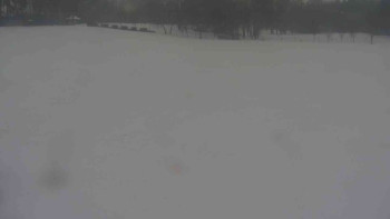 Snímek    24.11.2025 v 11:00