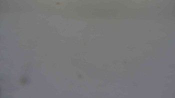 Ski klub RD Rýmařov