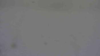 Ski klub RD Rýmařov