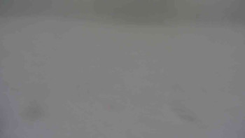 Ski klub RD Rýmařov