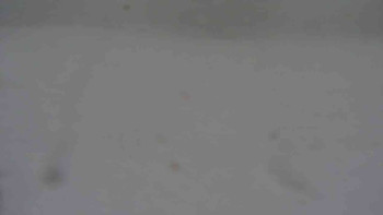 Ski klub RD Rýmařov