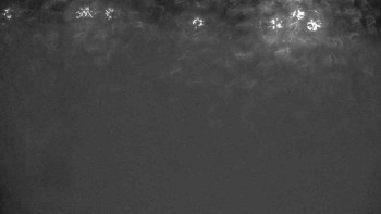 Ski klub RD Rýmařov