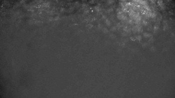 Ski klub RD Rýmařov