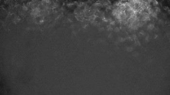 Ski klub RD Rýmařov