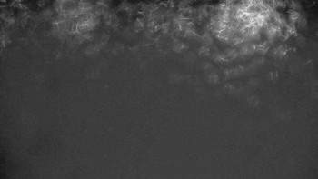 Ski klub RD Rýmařov