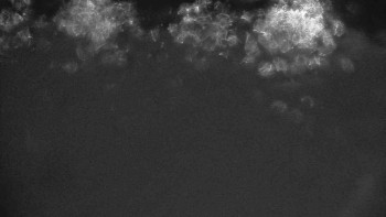 Ski klub RD Rýmařov