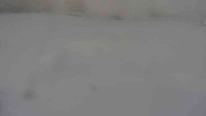 Ski klub RD Rýmařov - Areál ski klubu - 7.1.2026 v 08:30