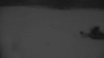 Ski klub RD Rýmařov