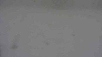 Ski klub RD Rýmařov