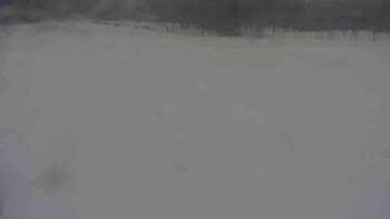 Ski klub RD Rýmařov