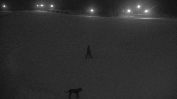 Ski klub RD Rýmařov