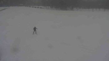 Ski klub RD Rýmařov