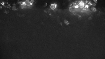 Ski klub RD Rýmařov